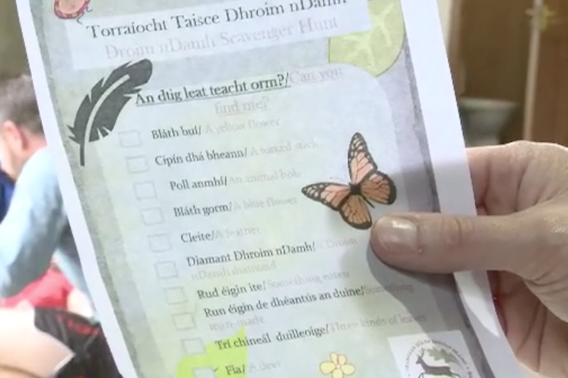 Tearmann Dúlra Dhroim nDamh