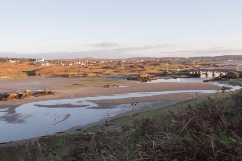 Na céadta aighneacht i gcoinne feirm oisrí i dTír Chonaill