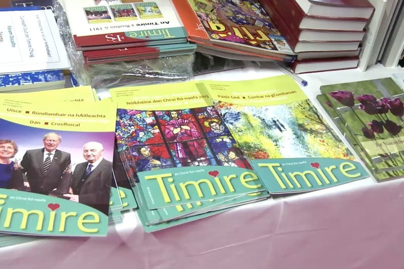 Todhchaí litríochta na Gaeilge trí shúile 'An Timire'