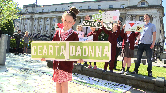 Cead Ardchúirte chun dlí a chur ar an Fheidhmeannas faoi Straitéis na Gaeilge