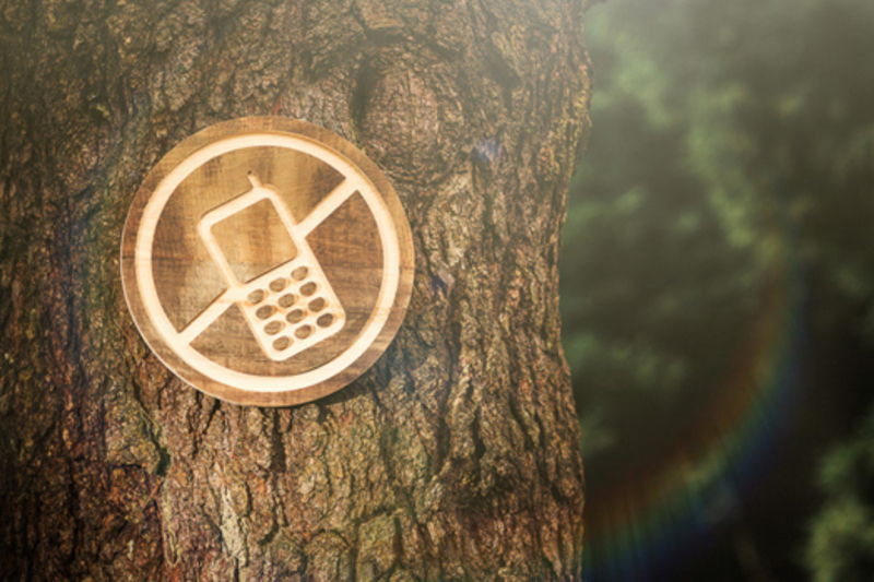 An bhfuil detox digiteach uait?