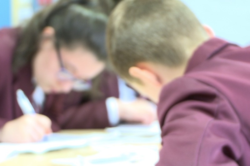 'Teanga na gCailíní' - laghdú ar líon gasúr ag stáidear na Gaeilge